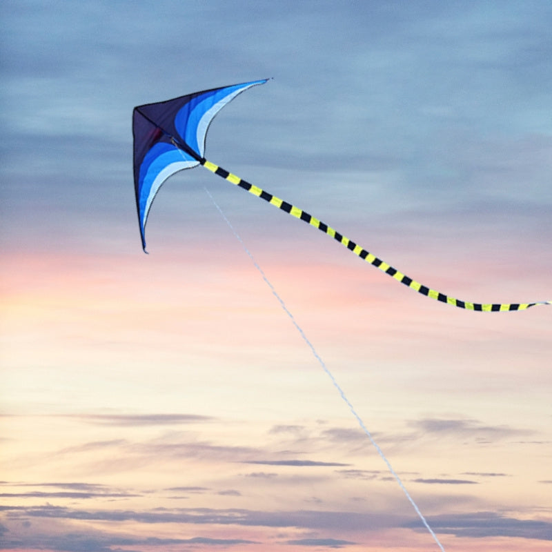 2pcs Extra Large Long Tail Prairie Kites - Vibrant Blue & Black Premium Polyester, Easy to Fly for Beginners, Family Beach & Park Outdoor Activities, Includes 328ft Line & Handle, Perfect Birthday Gift for family